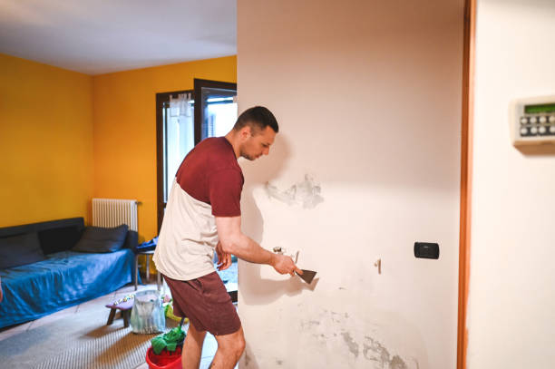 Reliable Sumter, SC Mold Remediation Solutions